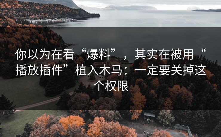 你以为在看“爆料”，其实在被用“播放插件”植入木马：一定要关掉这个权限