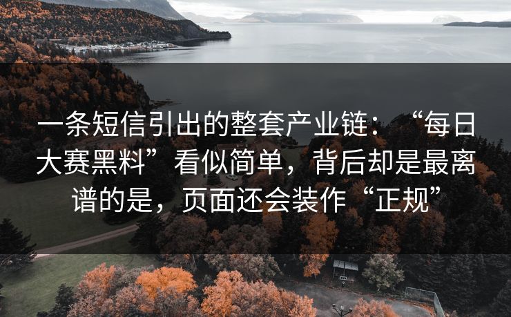 一条短信引出的整套产业链：“每日大赛黑料”看似简单，背后却是最离谱的是，页面还会装作“正规”