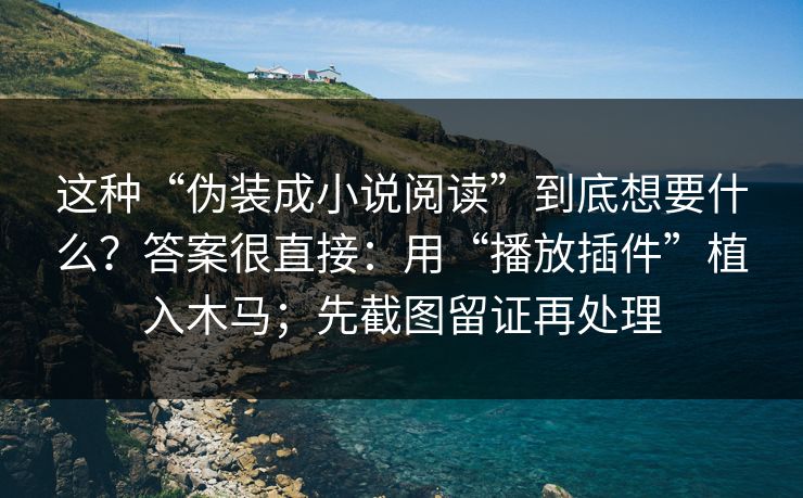 这种“伪装成小说阅读”到底想要什么？答案很直接：用“播放插件”植入木马；先截图留证再处理