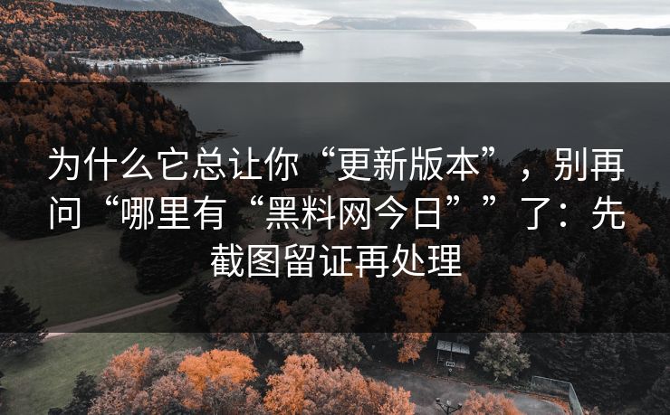 为什么它总让你“更新版本”，别再问“哪里有“黑料网今日””了：先截图留证再处理