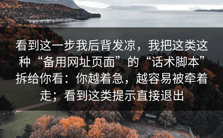 看到这一步我后背发凉，我把这类这种“备用网址页面”的“话术脚本”拆给你看：你越着急，越容易被牵着走；看到这类提示直接退出