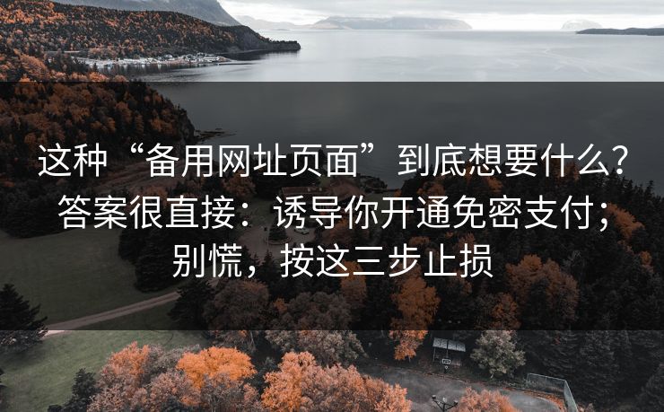 这种“备用网址页面”到底想要什么？答案很直接：诱导你开通免密支付；别慌，按这三步止损